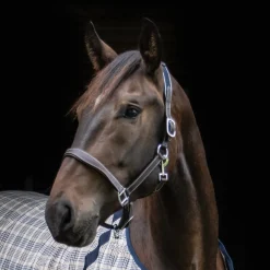 Val du Bois Comfort Crown Leather & Elastic Halter