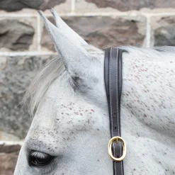 Val du Bois Comfort Soft Padded Leather Halter