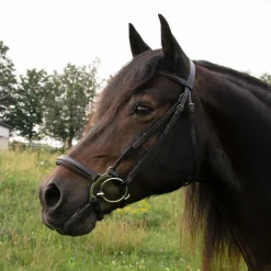 Val du Bois Controller Noseband