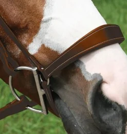 Val du Bois Drop Noseband