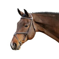 Val du Bois Padded Fancy Stitched Figure-8 Bridle