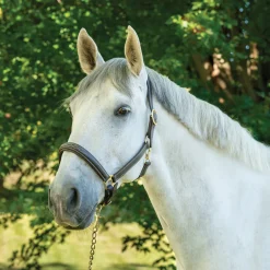 Val du Bois Padded Fancy Stitched Halter