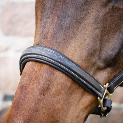 Val du Bois Padded Fancy Stitched Halter