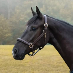 Val du Bois Padded Fancy Stitched Halter