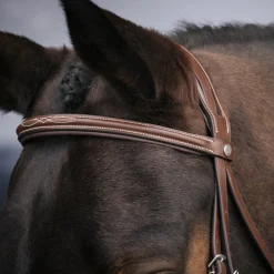 Val du Bois Padded Fancy Stitched Bridle W/ Removable Flash