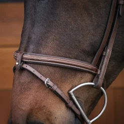 Val du Bois Padded Fancy Stitched Bridle W/ Removable Flash