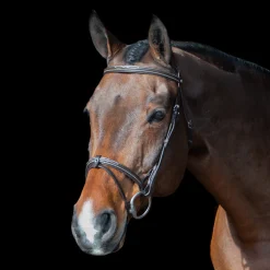 Val du Bois Padded Fancy Stitched Bridle W/ Removable Flash