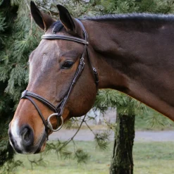 Val du Bois Padded Fancy Stitched Bridle W/ Removable Flash