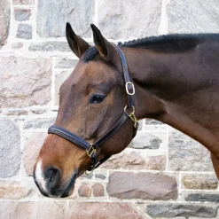 Val du Bois Padded Leather Halter