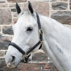 Val du Bois Padded Leather Halter