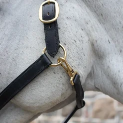 Val du Bois Padded Leather Halter
