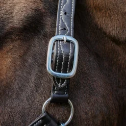 Val du Bois Synthetic Leather Halter