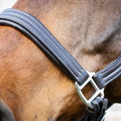 Val du Bois Synthetic Leather Halter