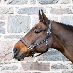 Val du Bois Synthetic Leather Halter