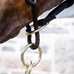 Val du Bois Training Vegan Leather Halter