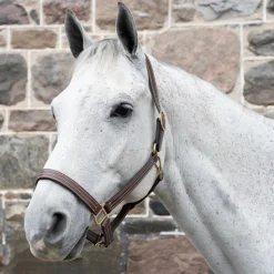 Val du Bois Triple Stitch Leather Halter