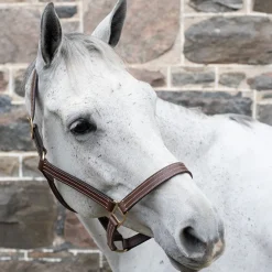 Val du Bois Triple Stitch Leather Halter