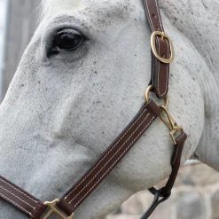 Val du Bois Triple Stitch Leather Halter