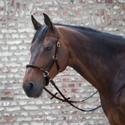 Waldhausen Lindell Bitless Bridle