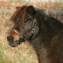 Waldhausen Star Diamond Leather Halter