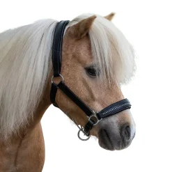 Waldhausen Star Diamond Leather Halter