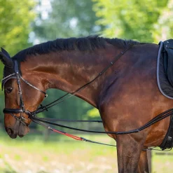 Waldhausen W/TrainRein Draw Reins