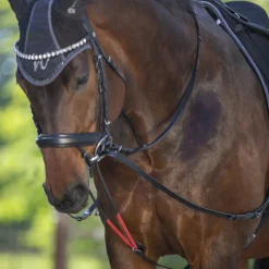 Waldhausen W/TrainRein Draw Reins