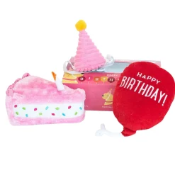 ZippyPaws Birthday Box